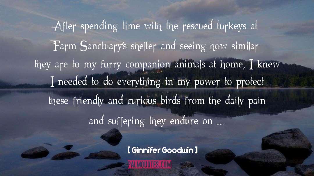 Companion Animals quotes by Ginnifer Goodwin