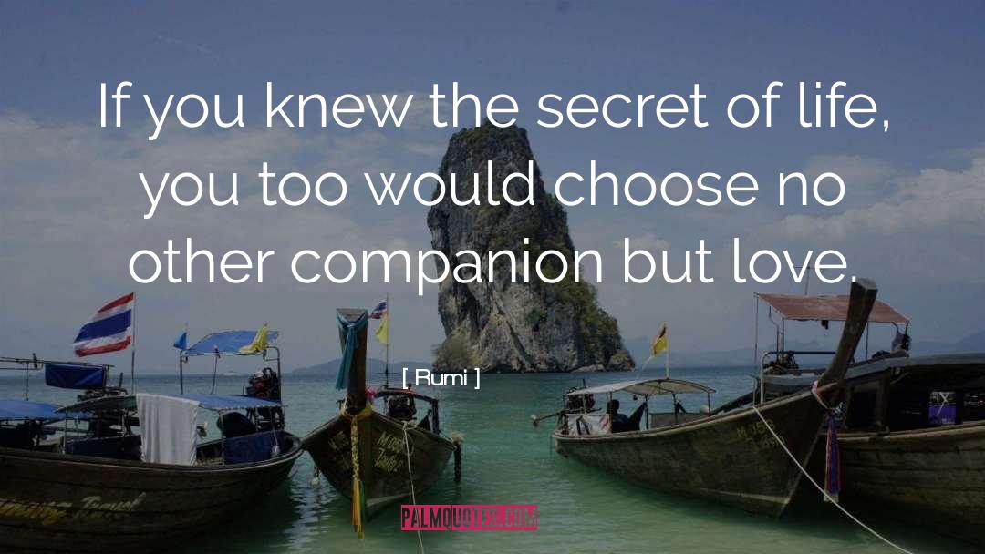 Companion quotes by Rumi