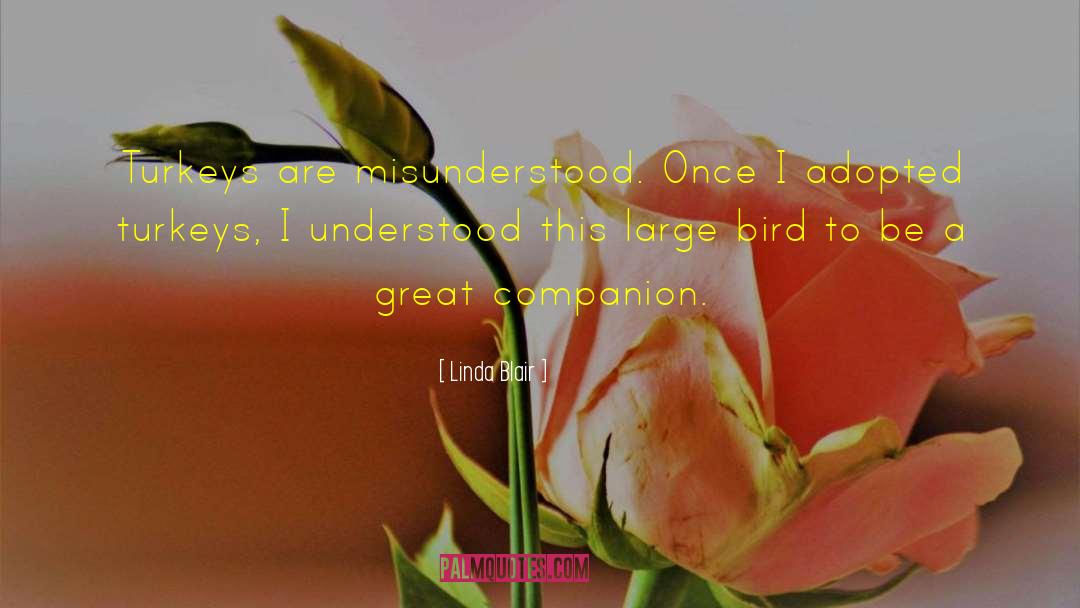 Companion quotes by Linda Blair