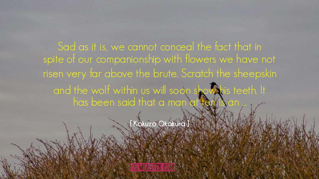 Companionship quotes by Kakuzo Okakura