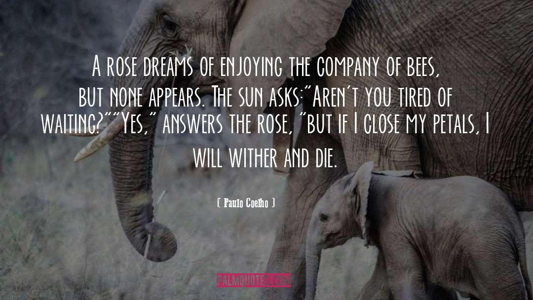 Company Love quotes by Paulo Coelho