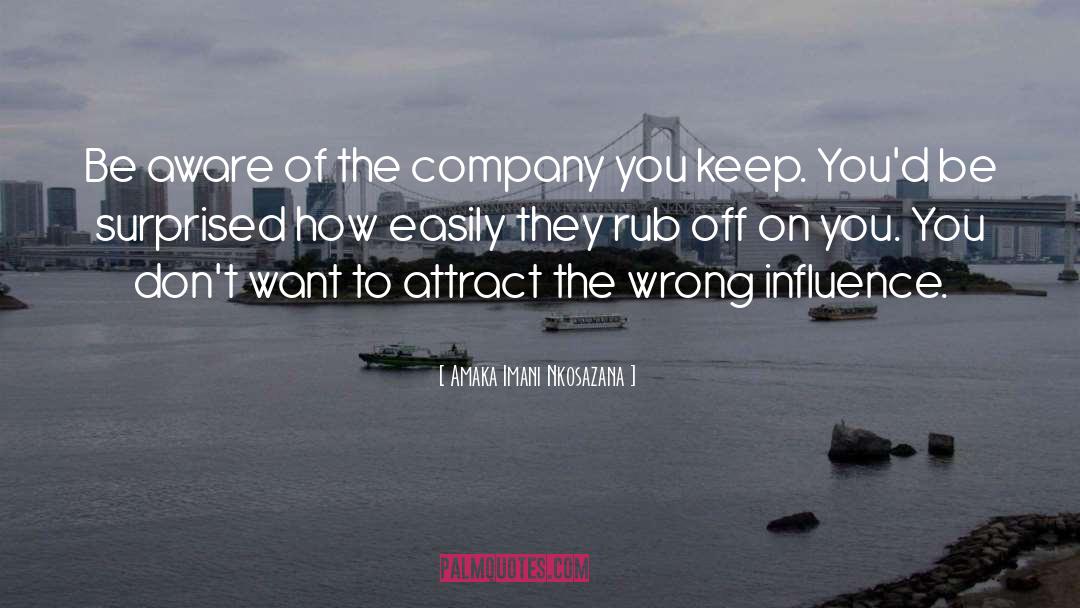 Company You Keep quotes by Amaka Imani Nkosazana