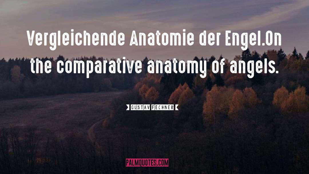 Comparative Anatomy quotes by Gustav Fechner