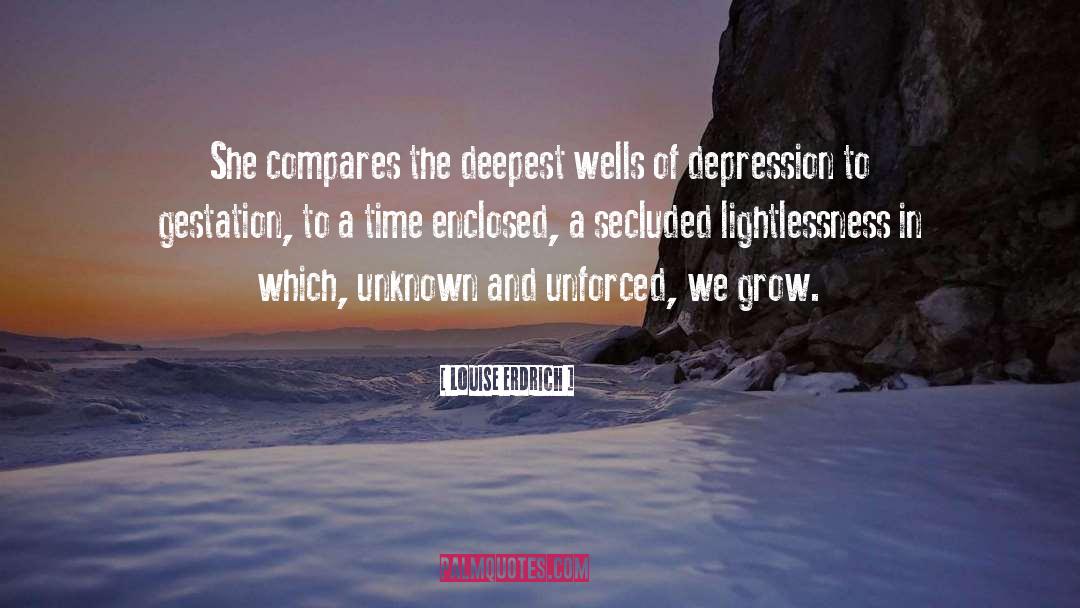 Compares quotes by Louise Erdrich