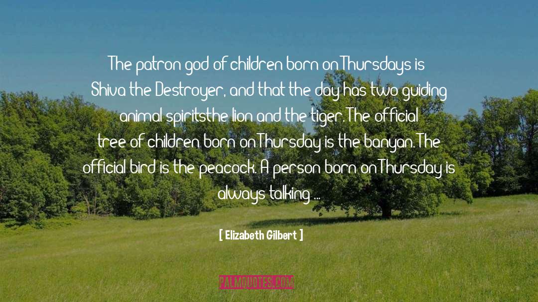 Comparing A Person To A Bird quotes by Elizabeth Gilbert