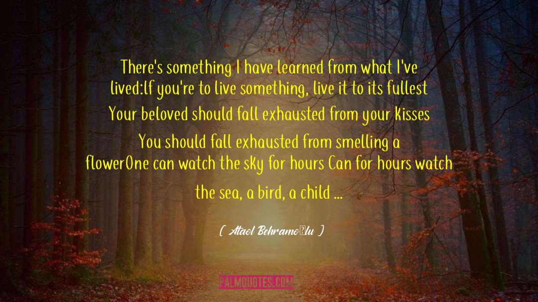 Comparing A Person To A Bird quotes by Ataol Behramoğlu