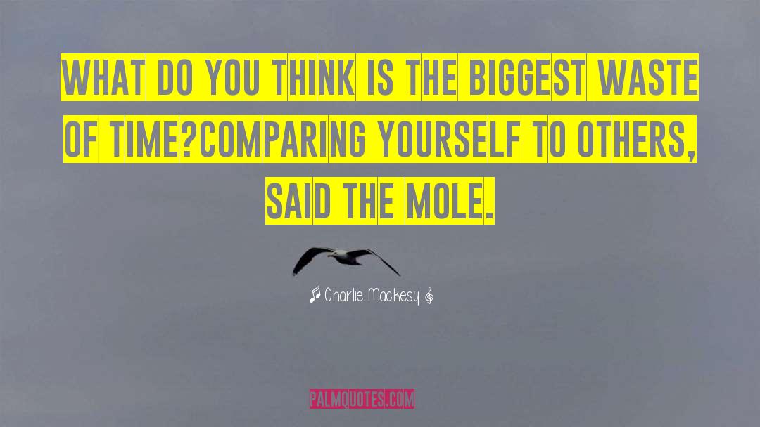 Comparing Yourself To Others quotes by Charlie Mackesy