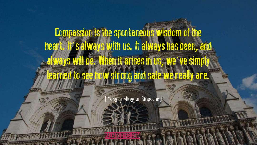 Compassion And Nonviolence quotes by Yongey Mingyur Rinpoche