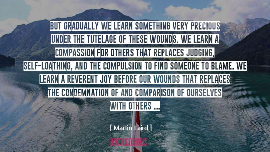 Compassion For Others quotes by Martin Laird