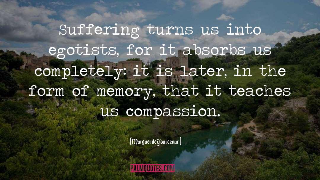 Compassion For Others quotes by Marguerite Yourcenar