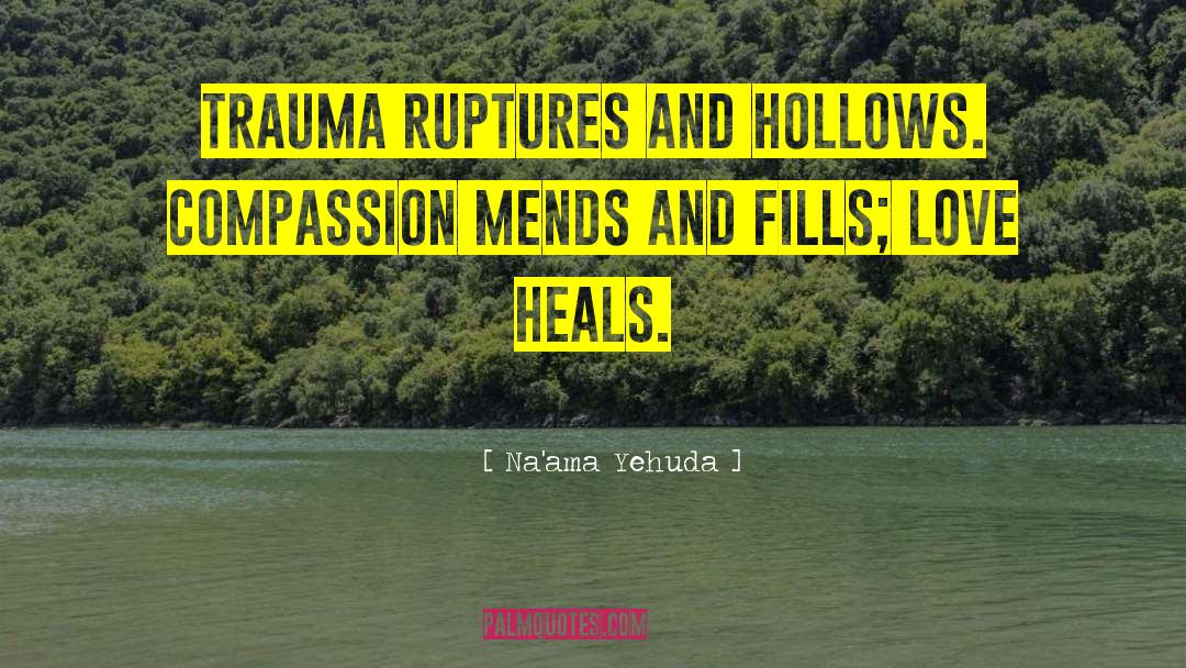 Compassion Heals Lives quotes by Na'ama Yehuda