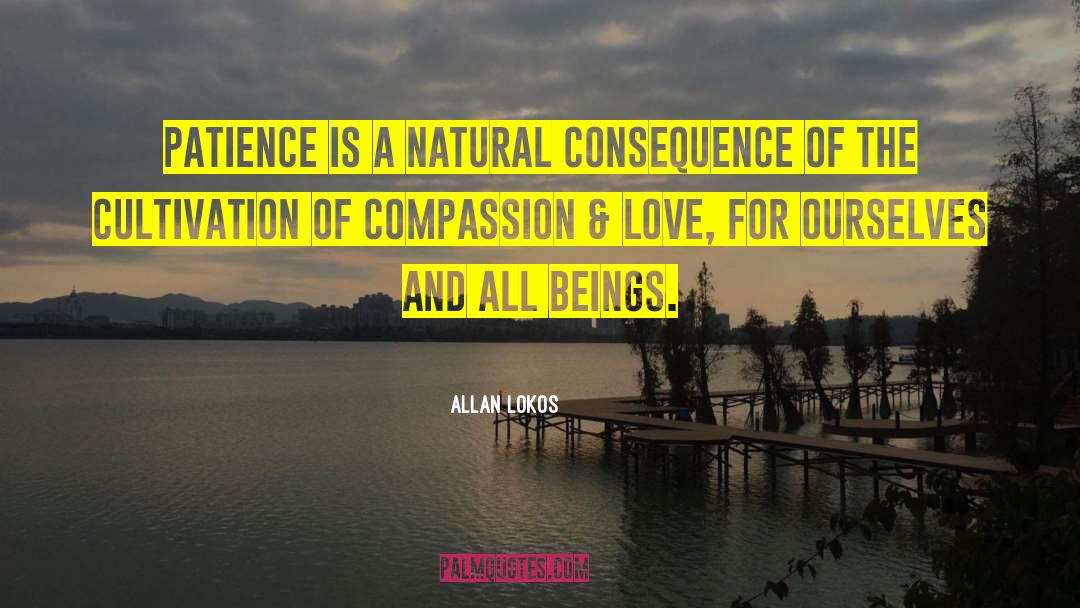 Compassion Love quotes by Allan Lokos