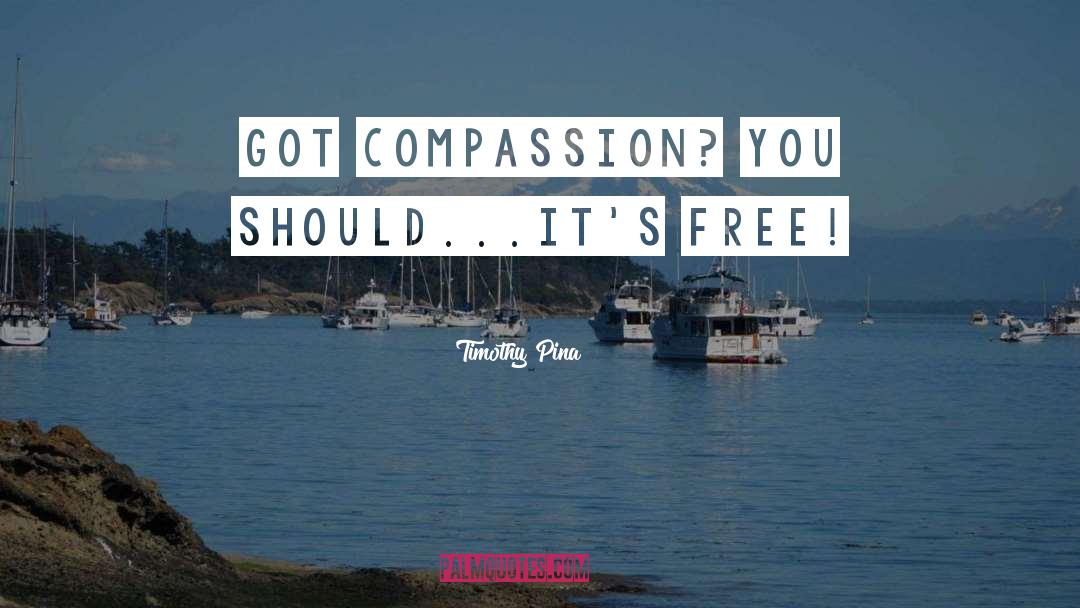 Compassion quotes by Timothy Pina