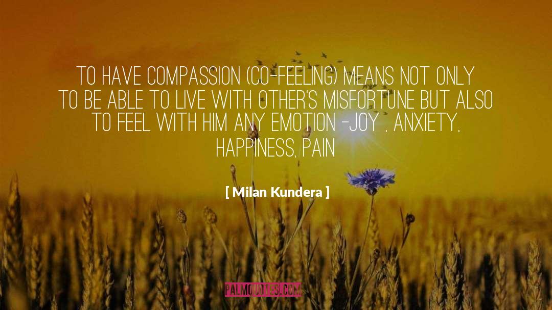 Compassion quotes by Milan Kundera