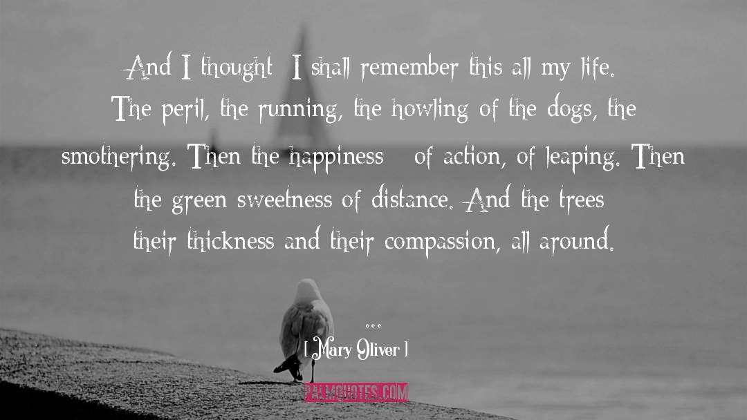 Compassion Seeking quotes by Mary Oliver