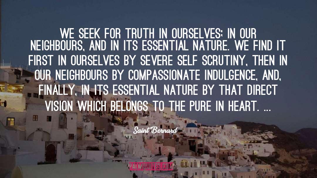 Compassionate Ai quotes by Saint Bernard