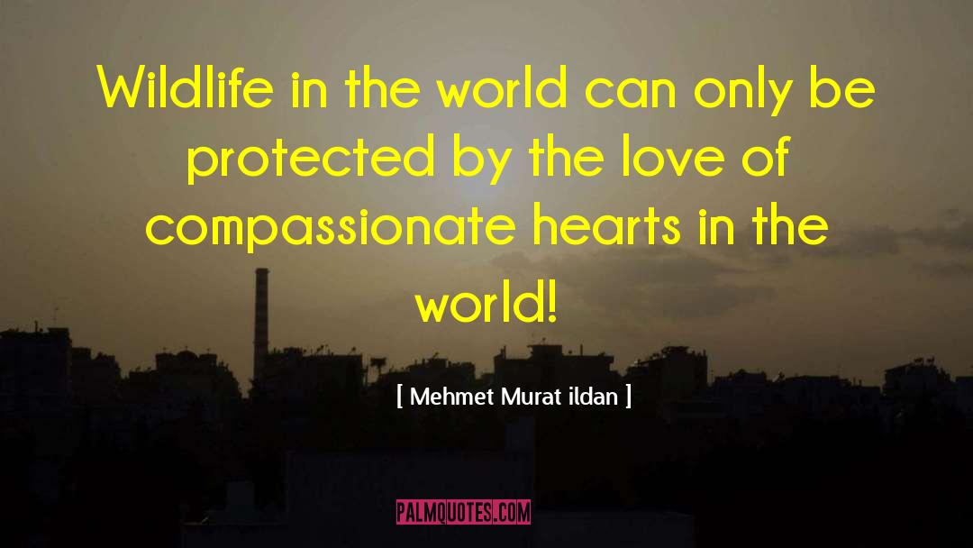 Compassionate Heart quotes by Mehmet Murat Ildan