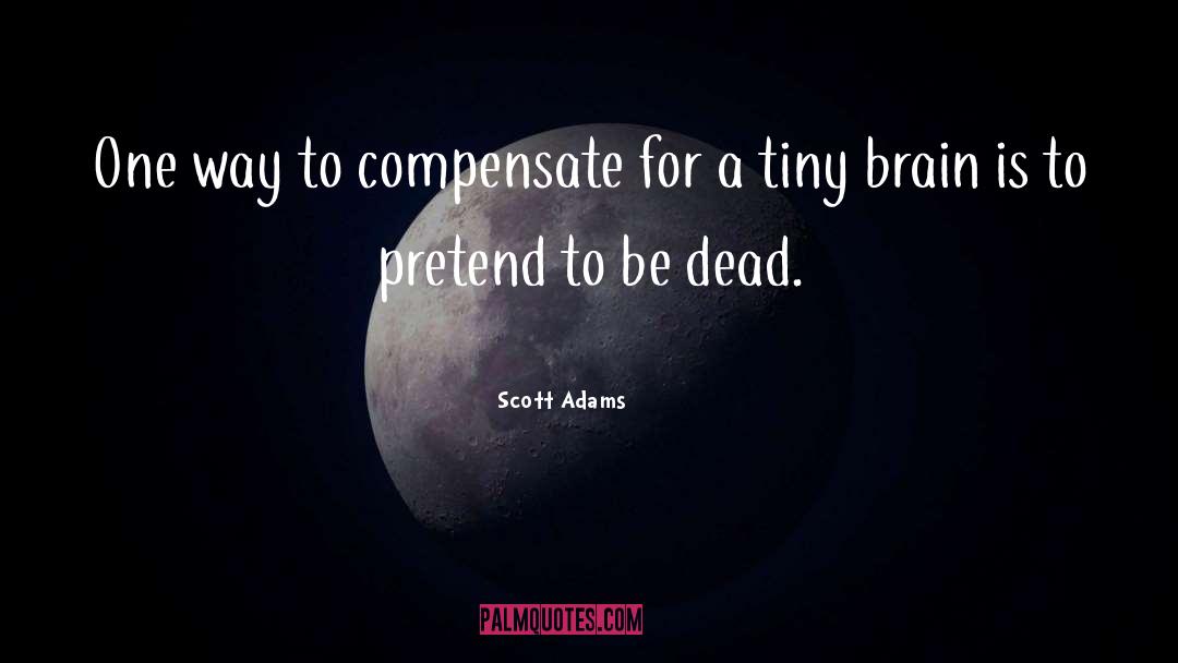 Compensate quotes by Scott Adams