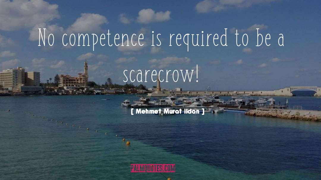 Competence quotes by Mehmet Murat Ildan