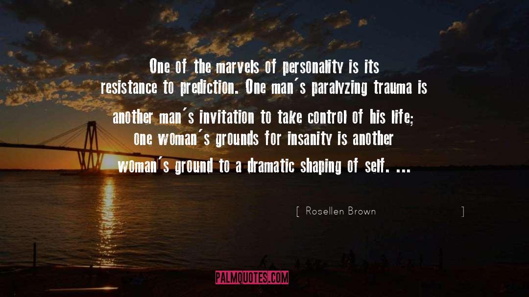 Competing With Another Woman For A Man quotes by Rosellen Brown