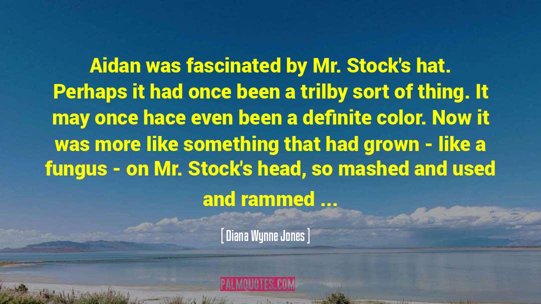 Complementary Color quotes by Diana Wynne Jones