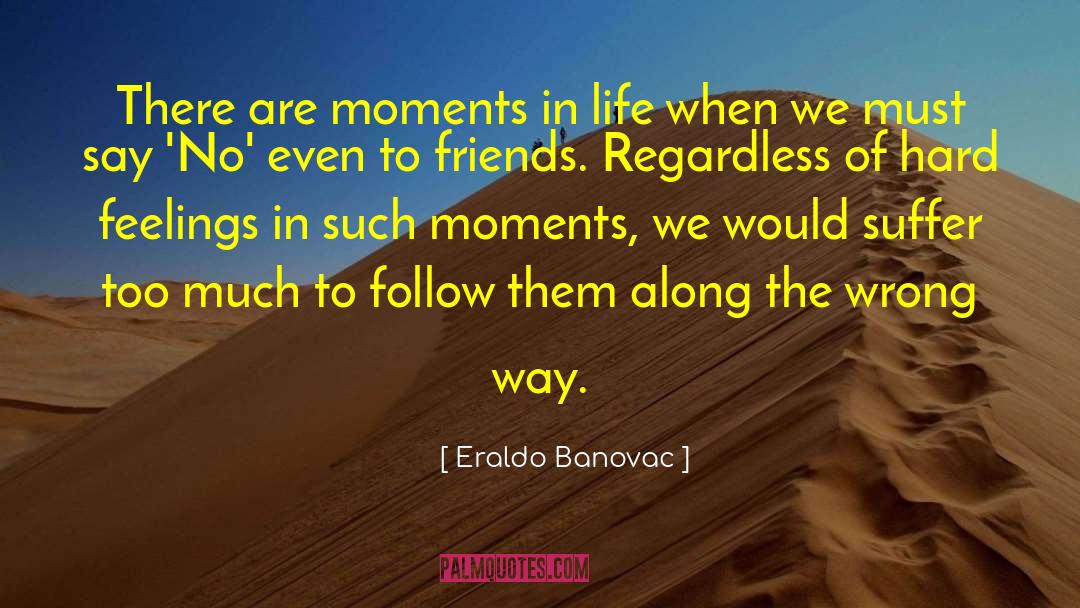 Complete Life quotes by Eraldo Banovac