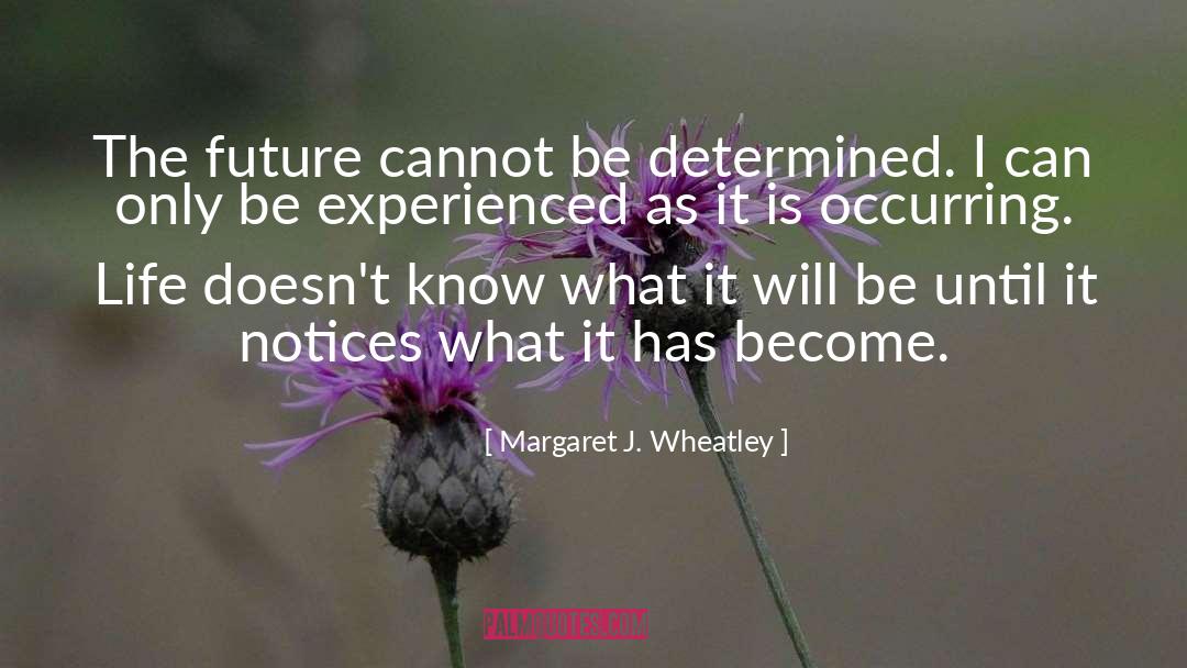 Complete Life quotes by Margaret J. Wheatley