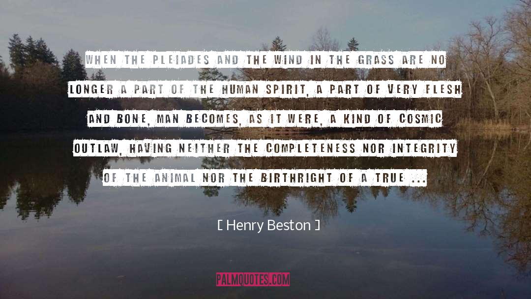 Completeness quotes by Henry Beston