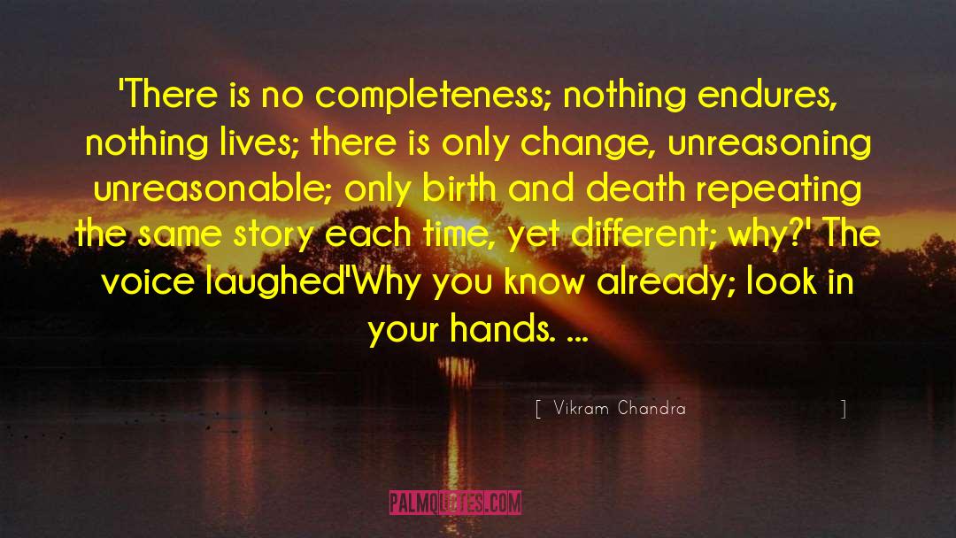 Completeness quotes by Vikram Chandra