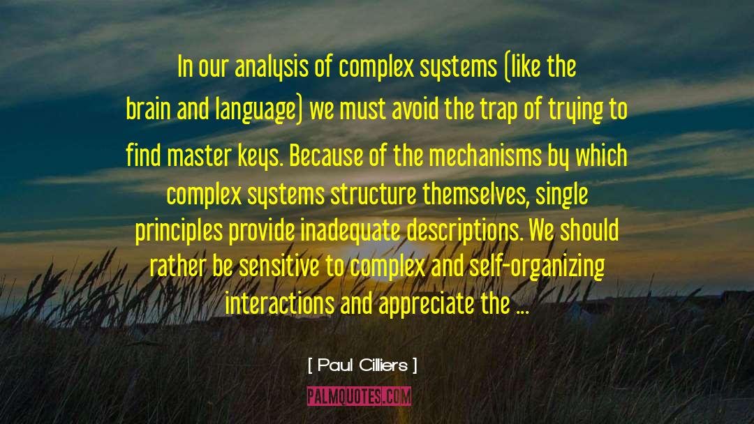 Complex Systems quotes by Paul Cilliers