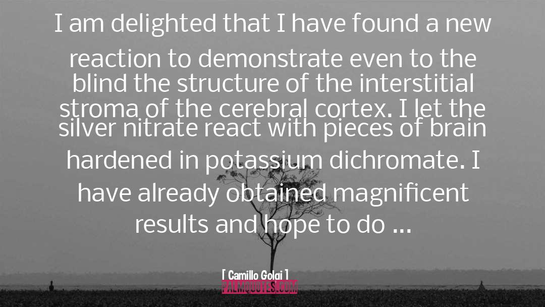 Complexed Potassium quotes by Camillo Golgi