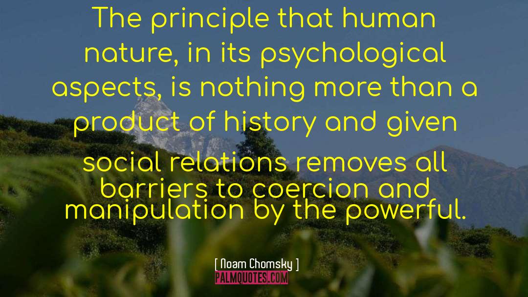 Complexity Of Human quotes by Noam Chomsky