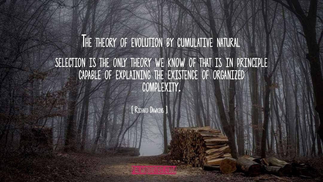 Complexity quotes by Richard Dawkins