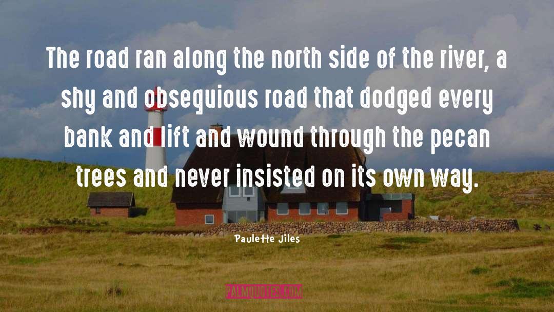 Complicated Geographical Insult quotes by Paulette Jiles