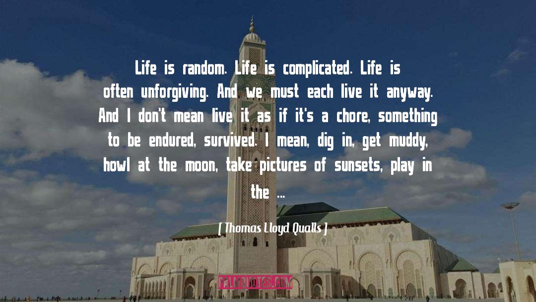 Complicated Life quotes by Thomas Lloyd Qualls