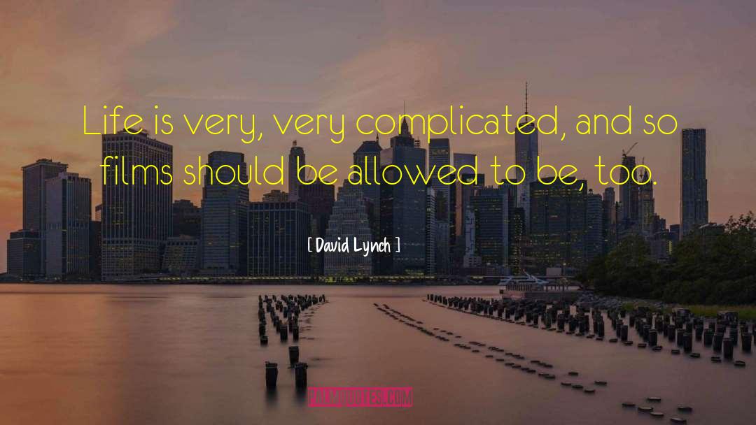 Complicated Life quotes by David Lynch