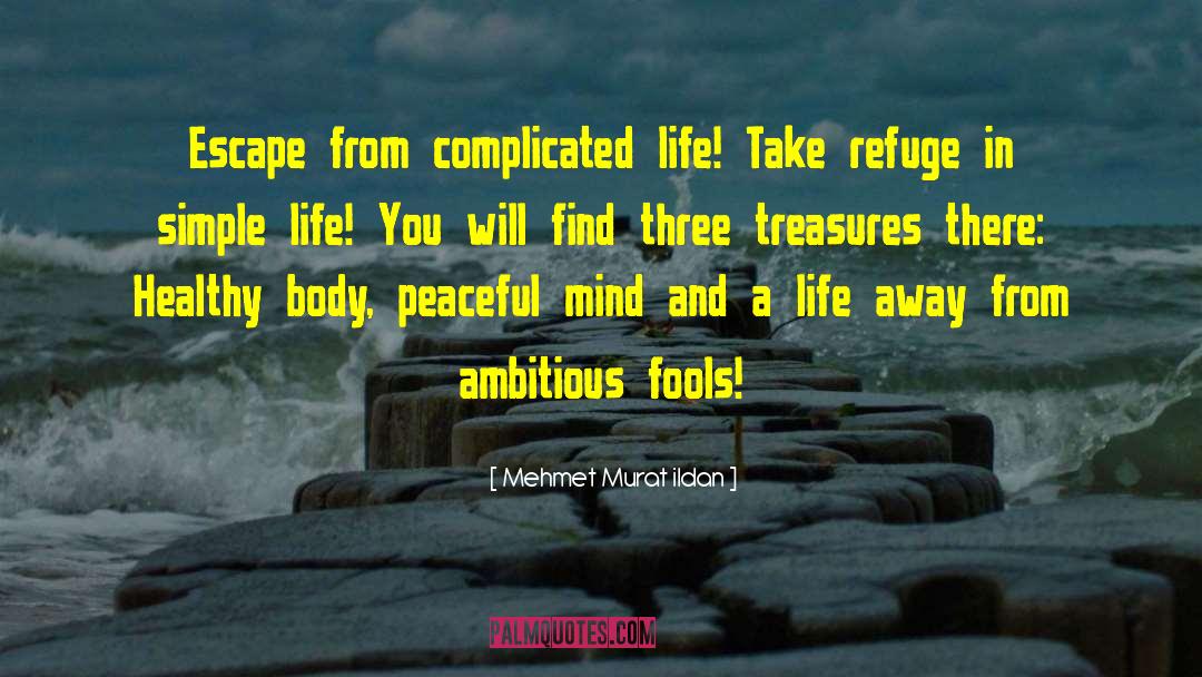 Complicated Life quotes by Mehmet Murat Ildan