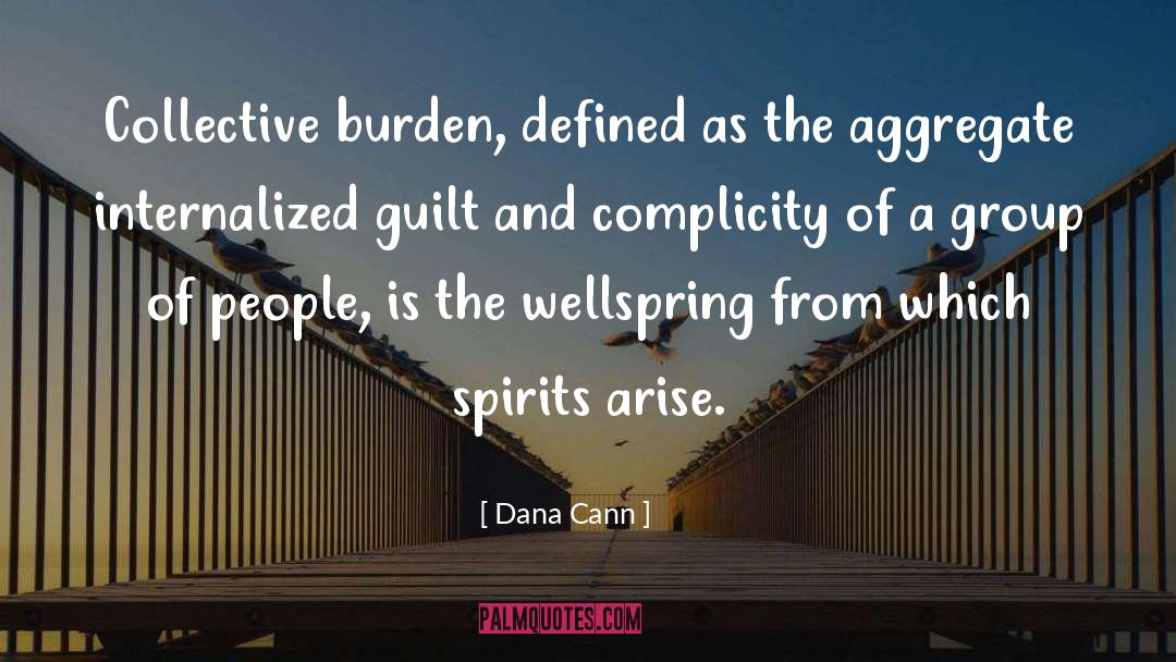 Complicity quotes by Dana Cann