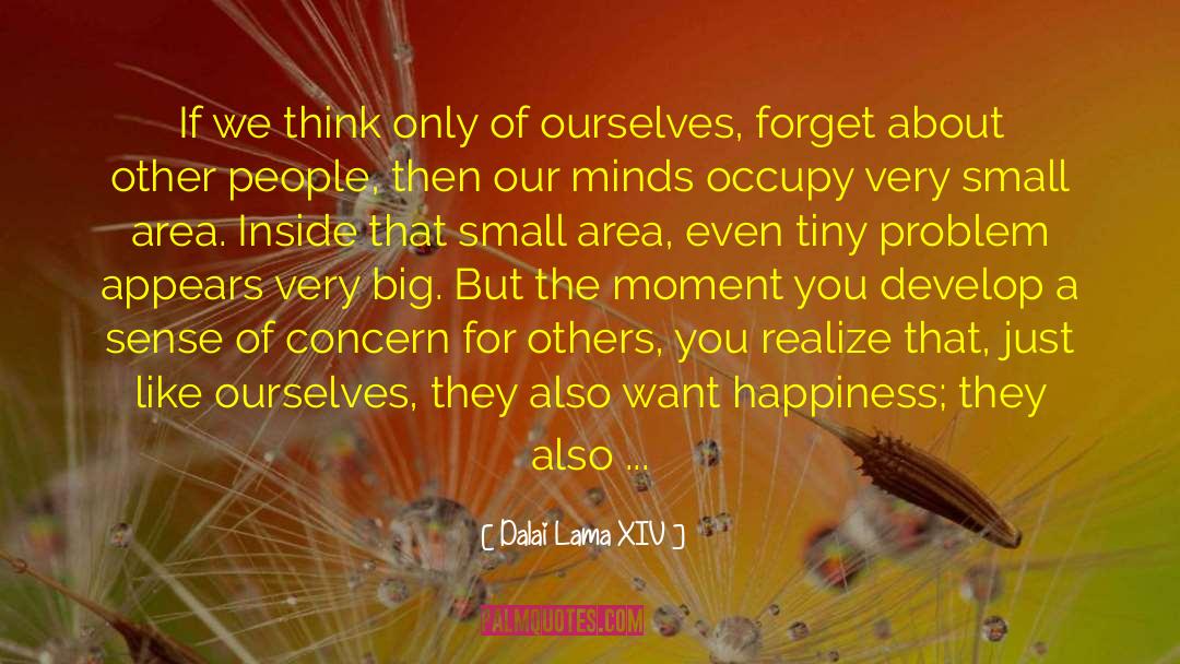 Complimenting Your Significant Other quotes by Dalai Lama XIV