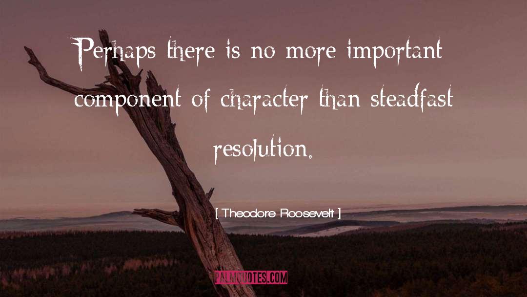 Component quotes by Theodore Roosevelt