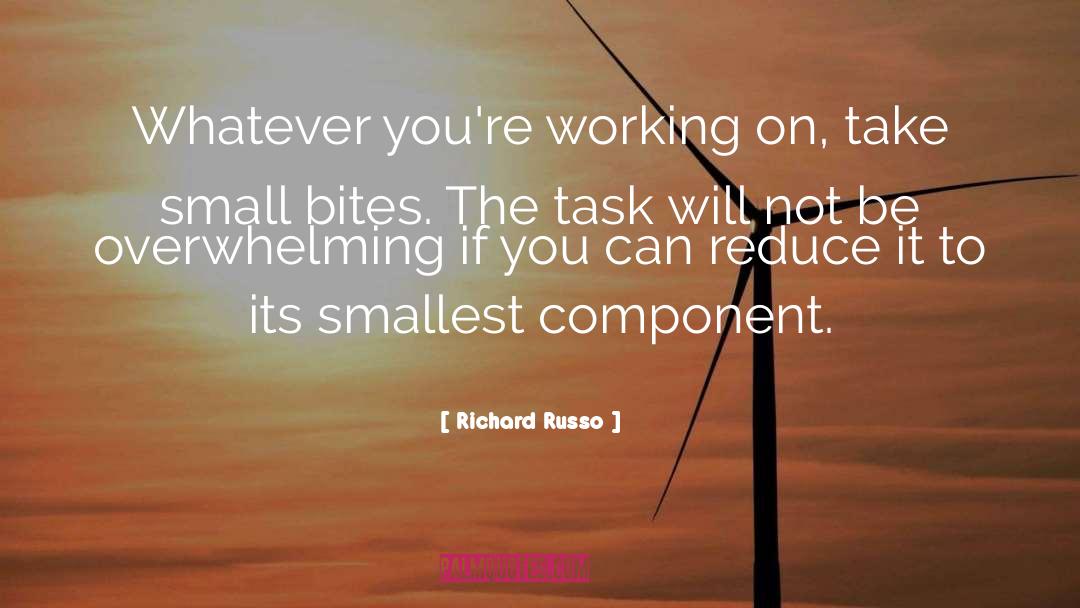 Components quotes by Richard Russo