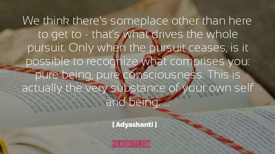 Composes Vs Comprises quotes by Adyashanti