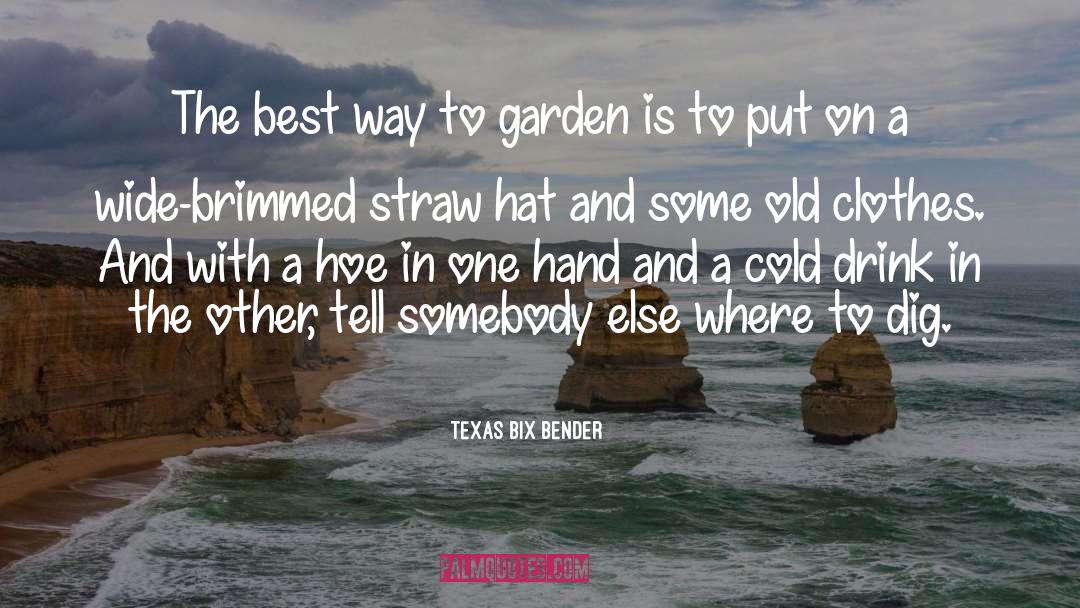 Compostable Straws quotes by Texas Bix Bender