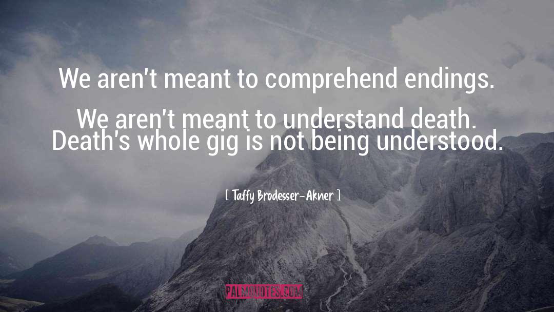 Comprehend quotes by Taffy Brodesser-Akner