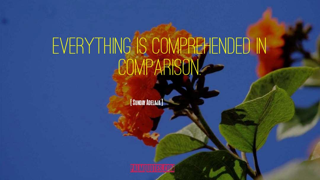 Comprehended quotes by Sunday Adelaja