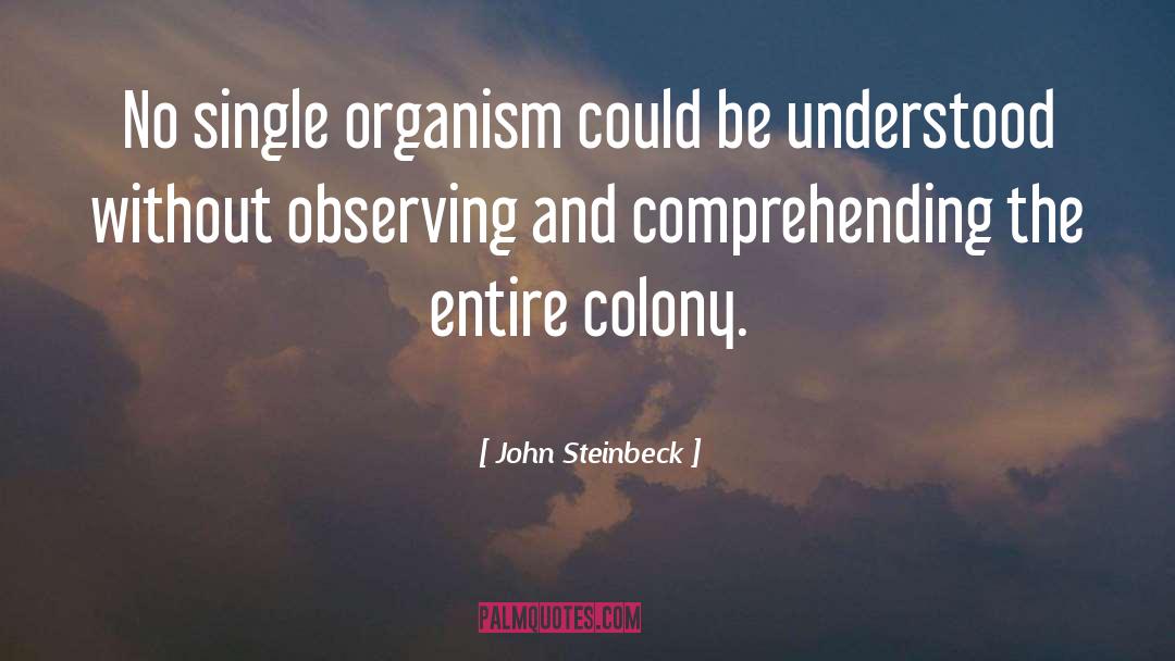 Comprehending quotes by John Steinbeck