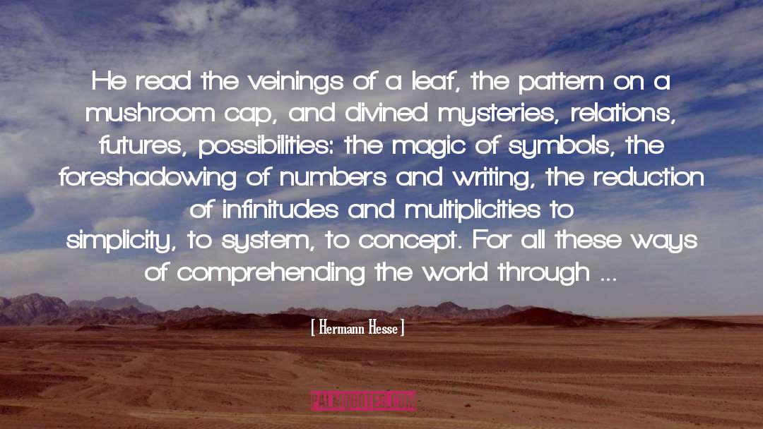 Comprehending quotes by Hermann Hesse