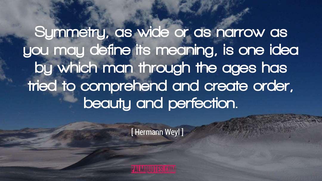 Comprehending quotes by Hermann Weyl