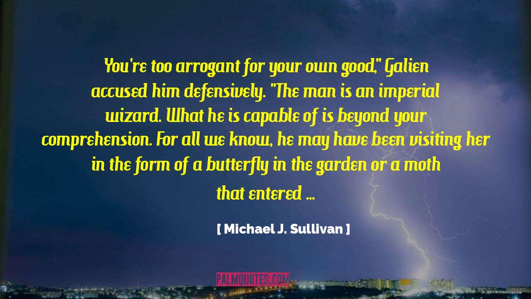 Comprehension quotes by Michael J. Sullivan