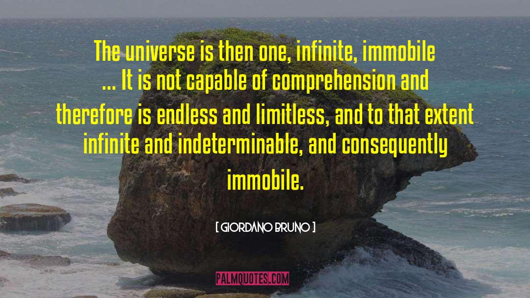 Comprehension quotes by Giordano Bruno